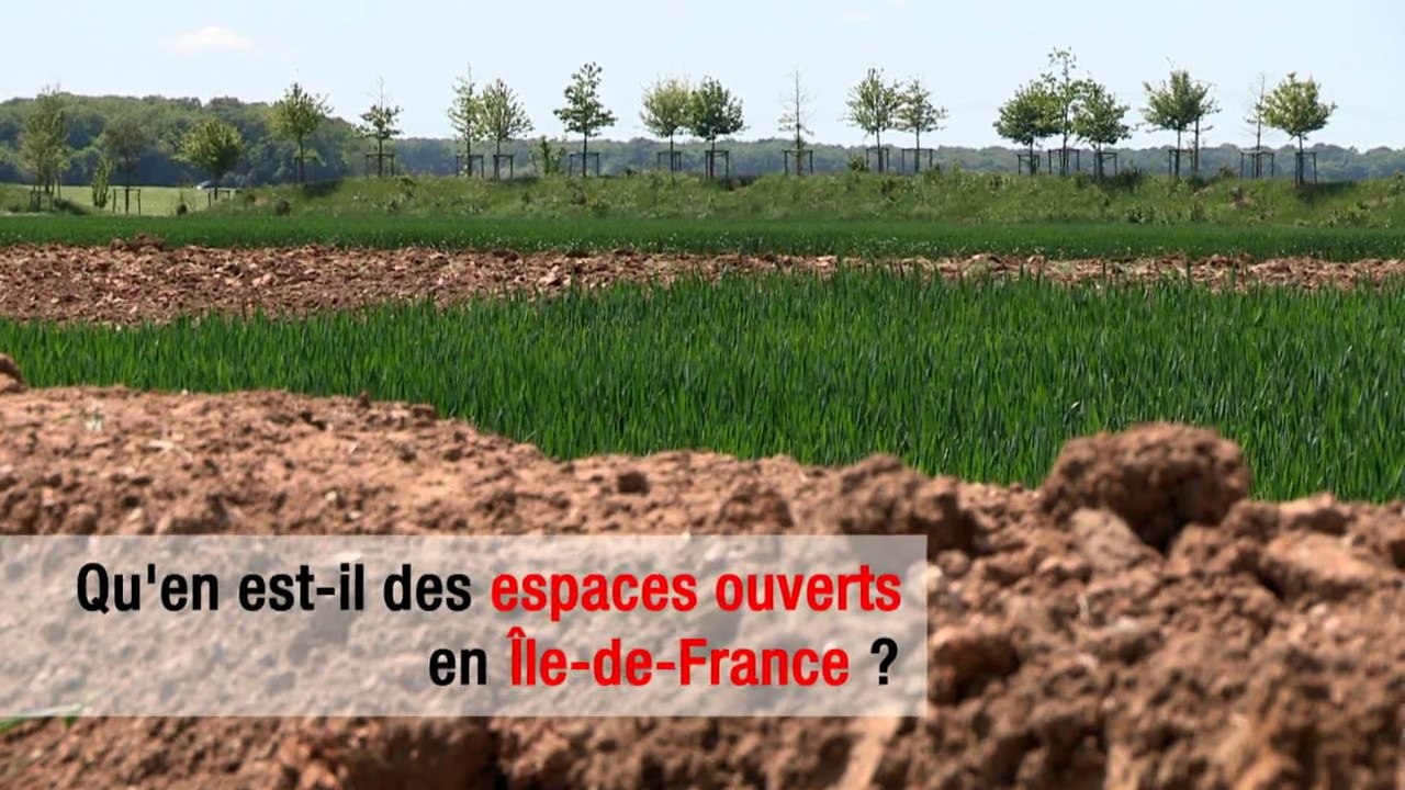 01 L'analyse fonctionnelle en 3 minutes