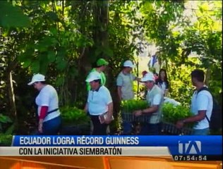 Ecuador logró un nuevo Récord Guinnes de reforestación