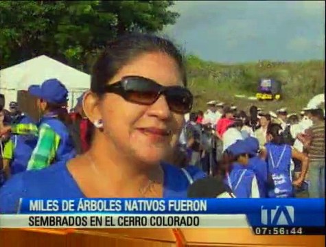 Miles de árboles nativos fueron sembrados en el Cerro Colorado