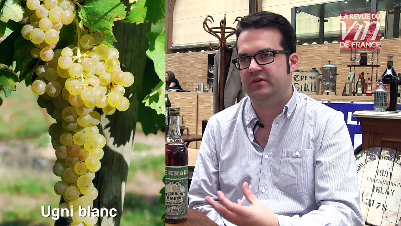 Qu'est ce que le vermouth ?