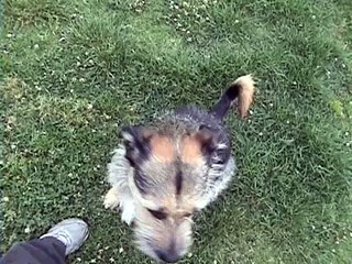 do you wanna be my lover?