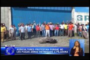 Arroceros denunciaron estafa en la provincia de Los Ríos