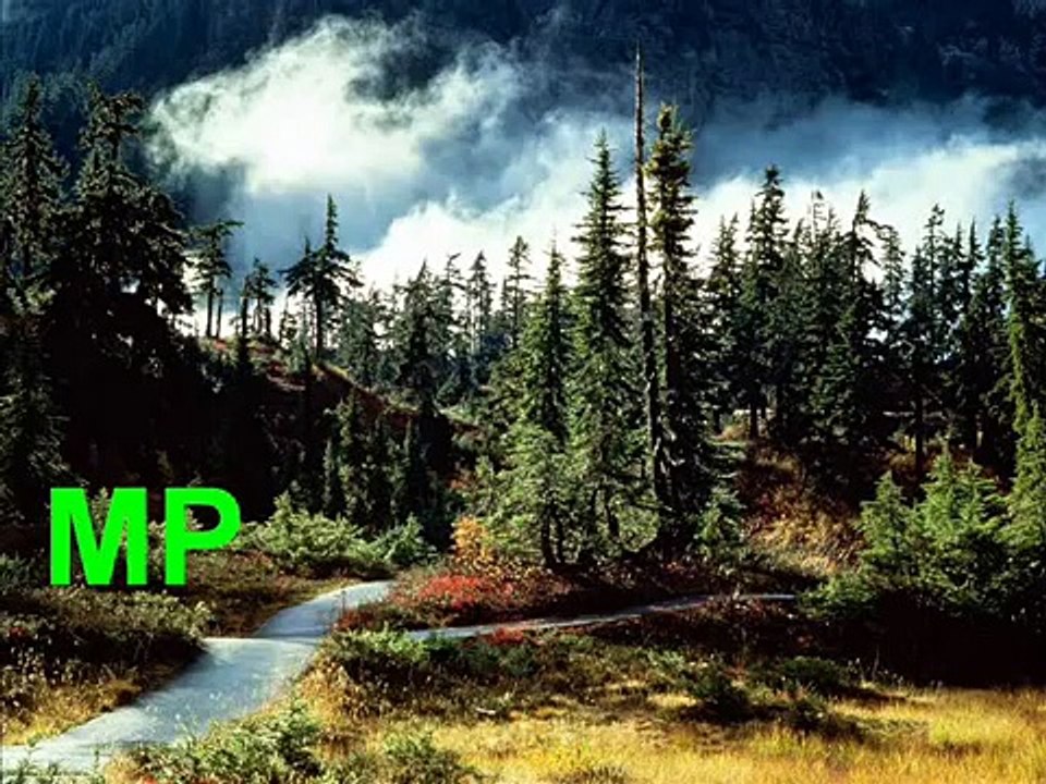 Ja do lasu nie pojade.I will not go into the forest. biesiada ludowa.wmv
