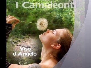 CAMALEONTI - Viso d'angelo