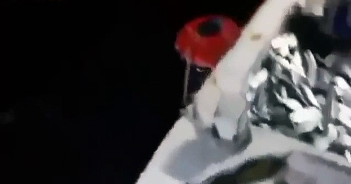 Fishing with Dynamite in Lebanon - crazy miracle fishing