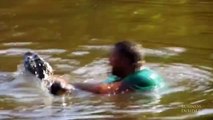 Unbelievable video of a man feeding alligators with his mouth in a Louisiana swamp