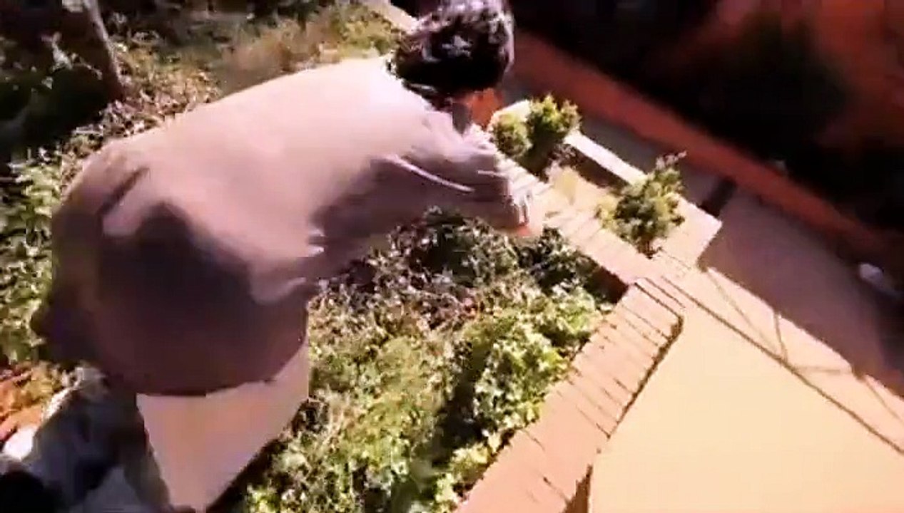man vs animals