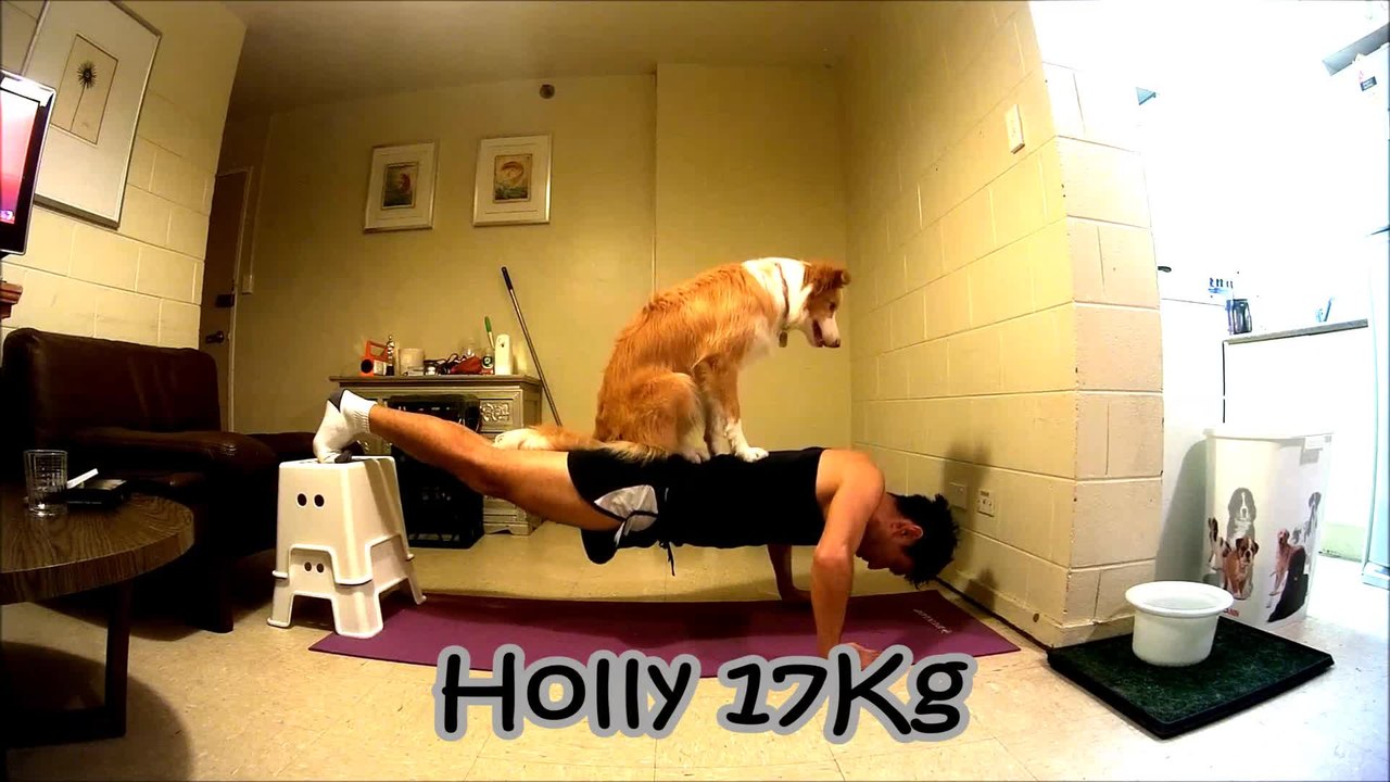 Talented dogs help owner exercise