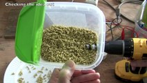 Diy Automatic Aquarium Fish Food Feeder In 5 Minutes Video