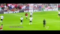Robin Van Persie All 30 Goals For Manchester United 2012/2013