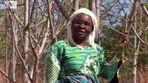 Moringa Plant Turns Malawian Women Into Entrepreneurs
