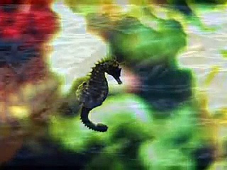 Allah Hu Allah Ho Allah by Waheed Zafar Qasmi