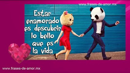 ositos con frases de amor