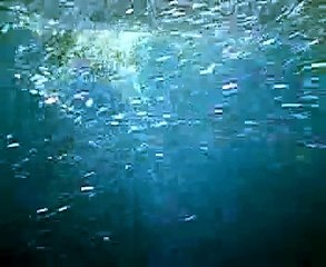 Ricciola a Capo Figari