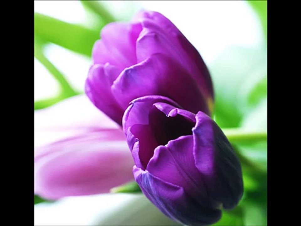 Grup Hacegan - Allah de Kalbim Allah de