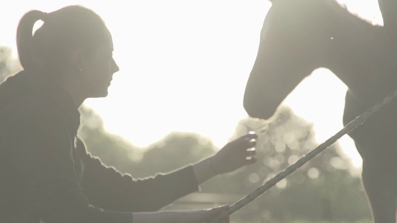 Introduction Life by Equidia