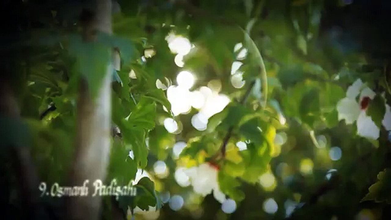Grup Hanedan - Şefaat Ya Kerîm