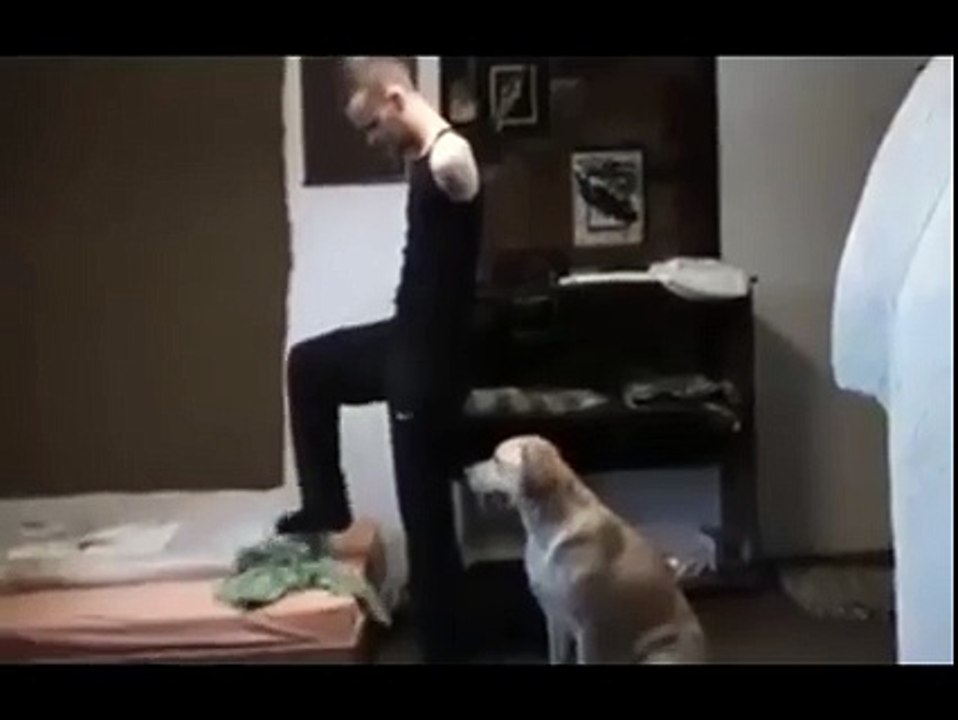 Engelli Sahibine Yardımcı Olan Köpek