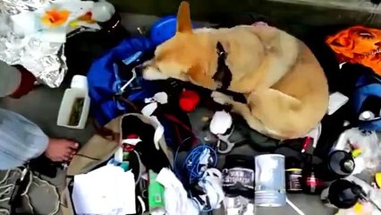 No Excuses Make It Happen