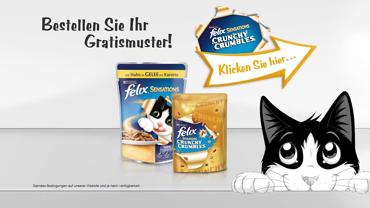 felix sensations crunchies cat food