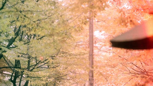 Kim Sung Kyu(김성규) _ 60Sec (60초) MV