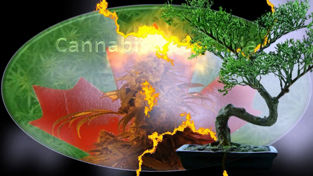 Thermo Regulated Fire Safety 2010