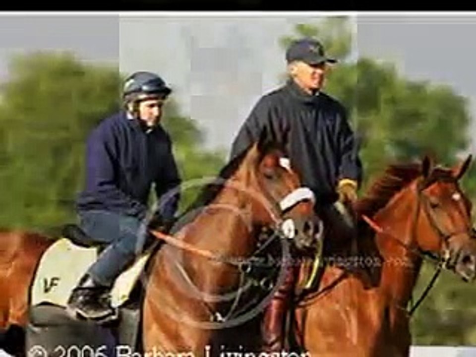 ♥Barbaro♥