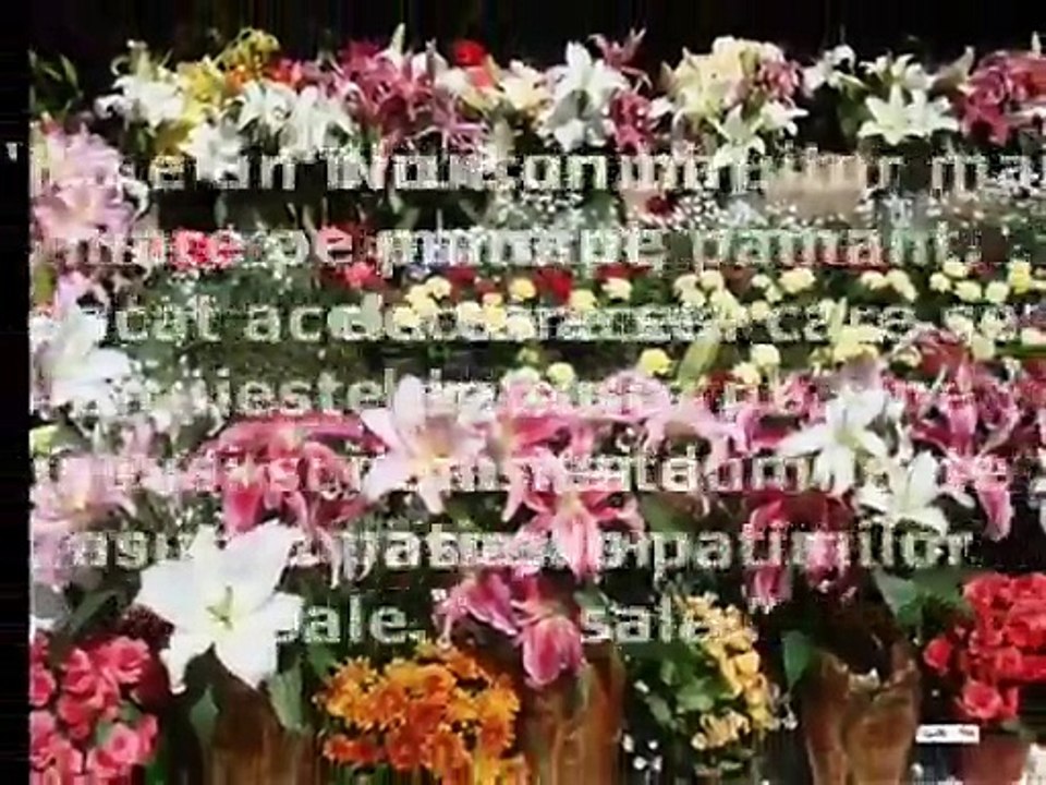 † Singura inregistrare audio a Parintelui Arsenie Boca