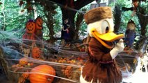 Halloween Character Meet-And-Greets At Disney's Animal Kingdom - Mickey, Minnie, Pluto, Donald