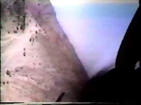 1990 - 1991 Gulf War