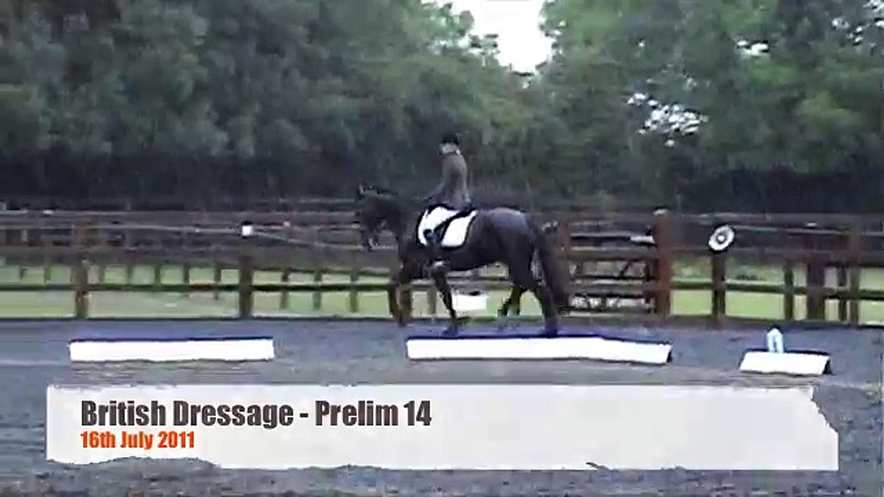 British Dressage: Prelim 14
