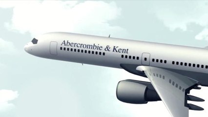 Luxury trip around the world on a private jet only costs $117,000