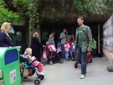 Mein Weg bei den Affen entlang im Erlebnis Zoo in Hannover 2013