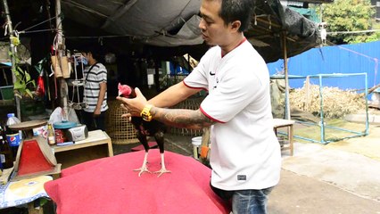 พม่า100% คมมากมาก 2.6kg เปิดราคา5000บ ซุ้มเพชรพญาไท โทร 0905514090