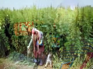 Ina Müller - drei männer her