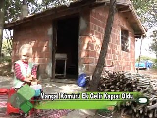 Mangal Kömürü Ek Gelir Kapısı Oldu 05.10.2001.wmv