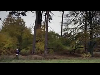 Monty Python's Wunderbare Welt der Schwe