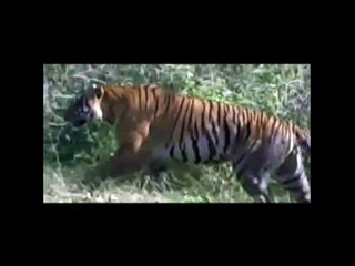 signe d'Allah la Nature est si belle et si mystérieuse