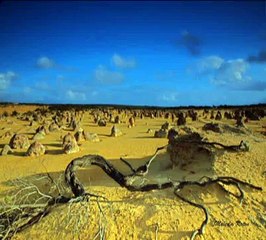 شيلة تكفى يابو متعب محمد الغامدي - مخلد السحيمي