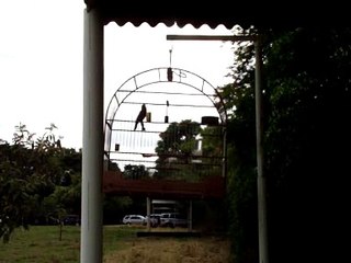 Torneio Sorocaba/2008 - 2º Lugar Pardo Com Repetição