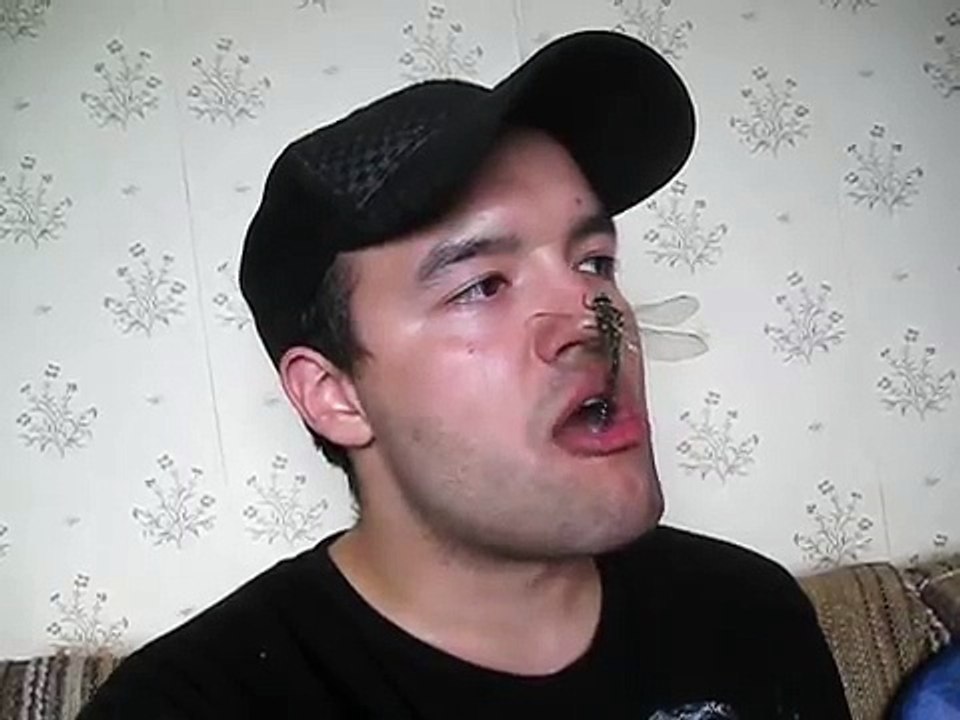 The Dragonfly Crying Game