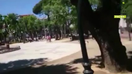 Un toro se escapa hiriendo a 11 personas en Talavera