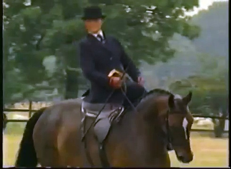 Side Saddle | Horse Riding Championship DVD | Equine DVD