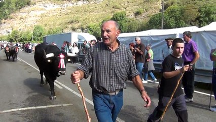 tudancas puentenansa. sanmiguel 2013