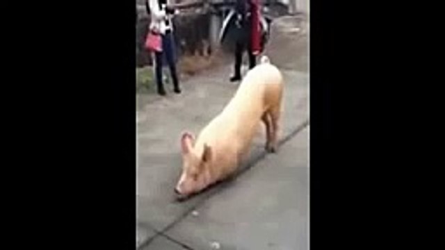 Zhejiang Sinhoo Group Co., Ltd. Li Hua Zou E Fund Management - Вклады - Сбербанк Чечня: Грозный