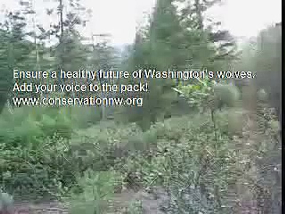 What Mitch heard in the Methow Valley last week