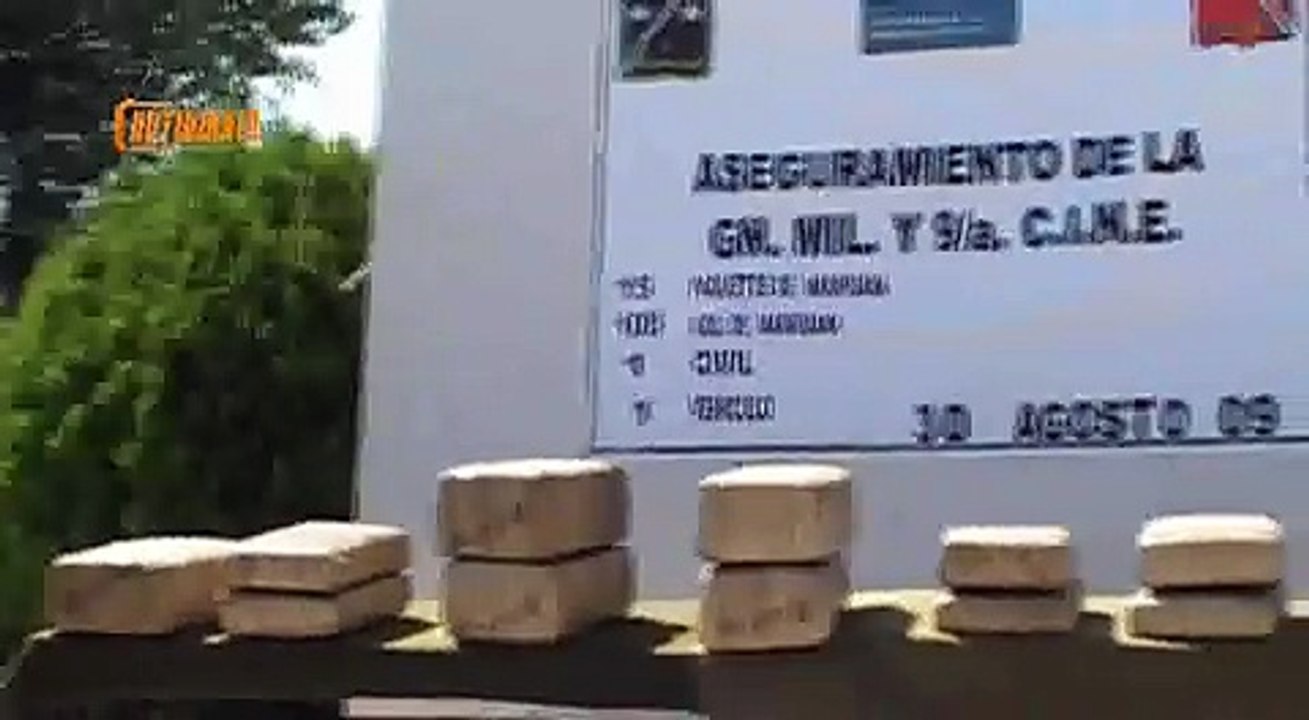 cerveza y narco corridos notidiario