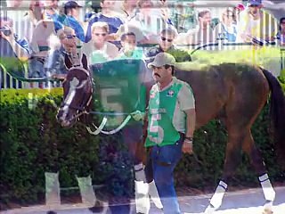 Lost In The Fog: Tribute to a Champion