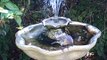 Gold Finches & House Finches in the Bird Bath
