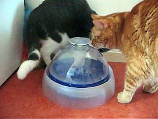 Catit katten drinkfontein